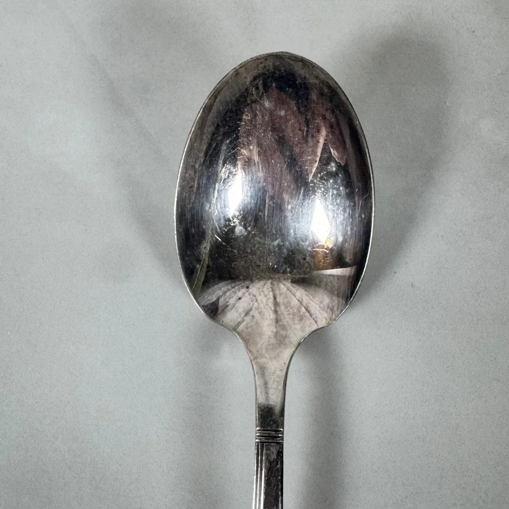 Oneida Nobility Plate‎ Silver Plated Bouillon Soup Spoon Caprice Floral Pattern